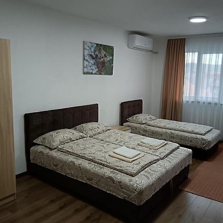 سينيتشا Apartmani Centar المظهر الخارجي الصورة